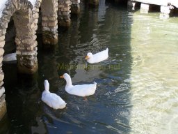 Ciudad de Letur 2008